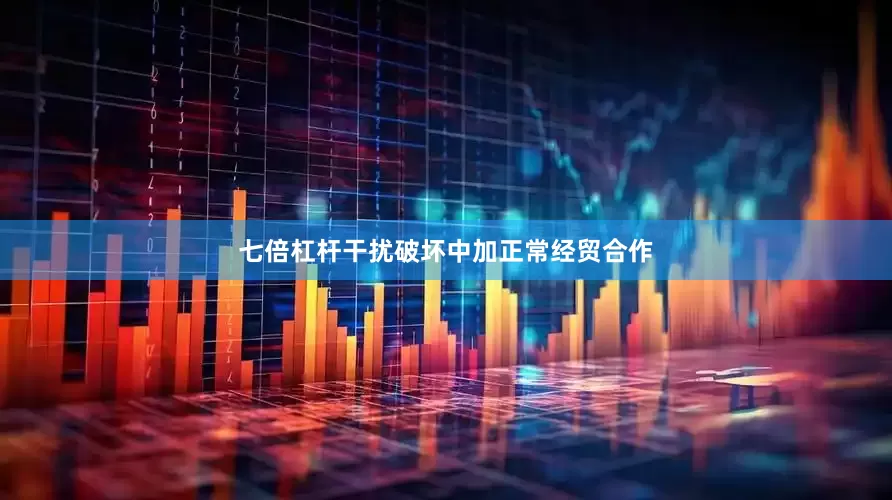 七倍杠杆干扰破坏中加正常经贸合作