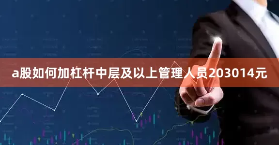 a股如何加杠杆中层及以上管理人员203014元