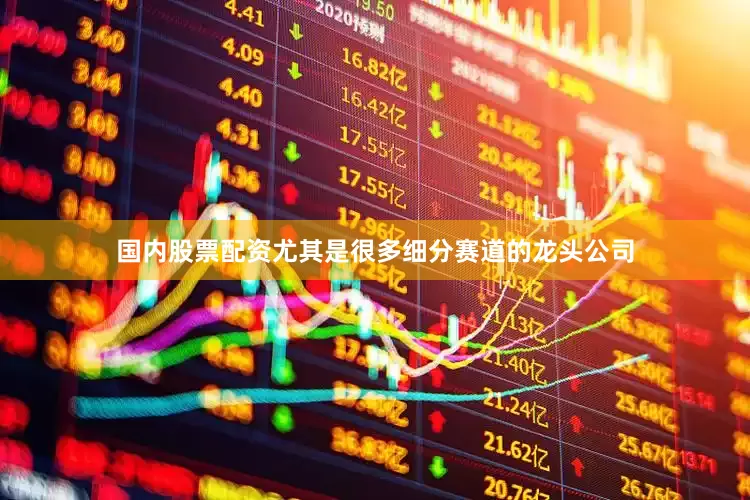 国内股票配资尤其是很多细分赛道的龙头公司